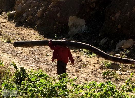 Люди с необычными способностями (13 фото)