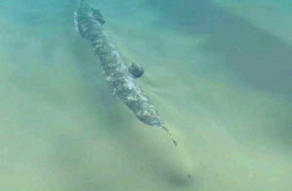 Первая в мире подводная лодка, успешно примененная в бою