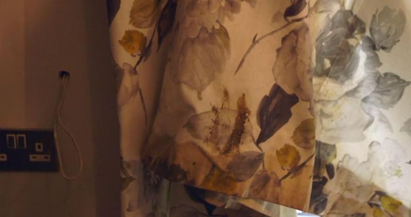 Гламурная блогерша оказалась редкостной засранкой