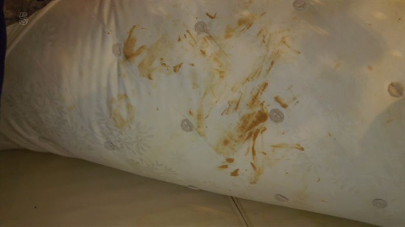 Гламурная блогерша оказалась редкостной засранкой