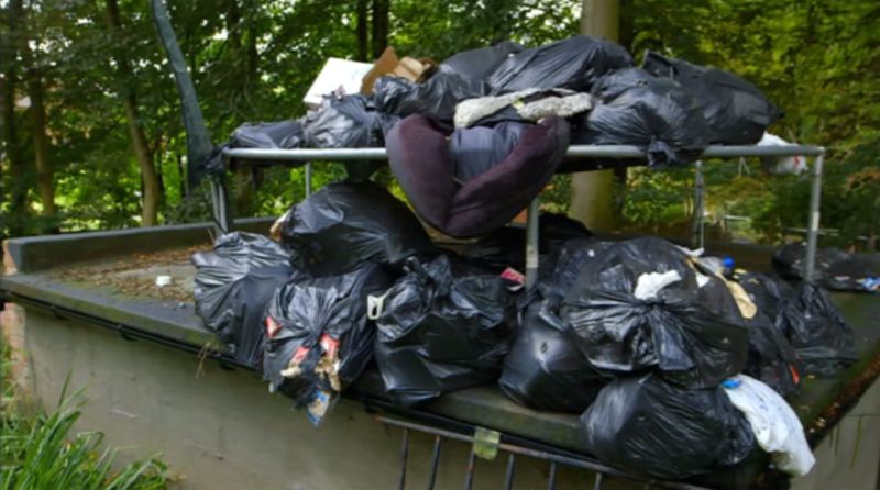 Гламурная блогерша оказалась редкостной засранкой