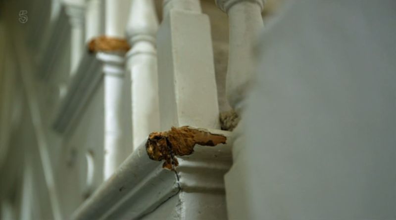 Гламурная блогерша оказалась редкостной засранкой