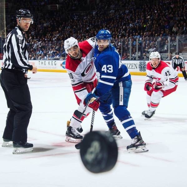 Снимки, сделанные в самый подходящий момент