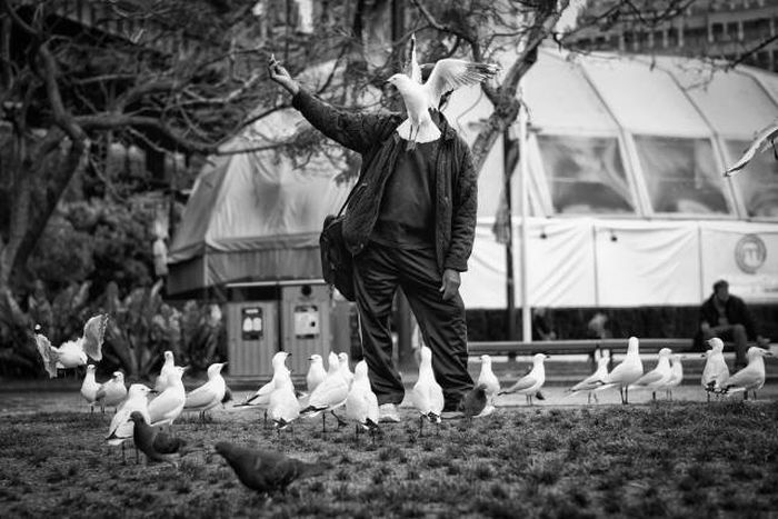 Снимки, сделанные в самый подходящий момент