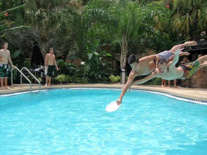 Снимки, сделанные в самый подходящий момент