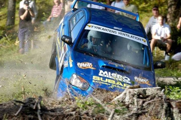 Снимки, сделанные в самый подходящий момент