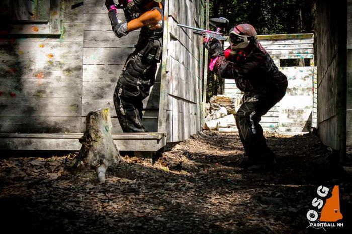 Снимки, сделанные в самый подходящий момент