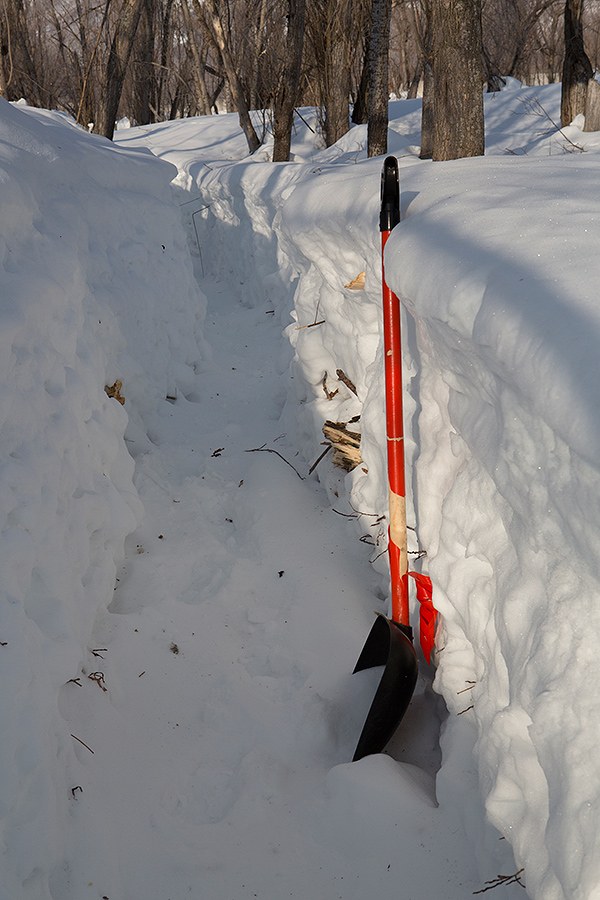 Лебединая Камчатка Лебединая Камчатка