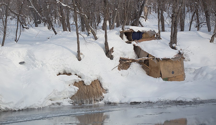 Лебединая Камчатка Лебединая Камчатка