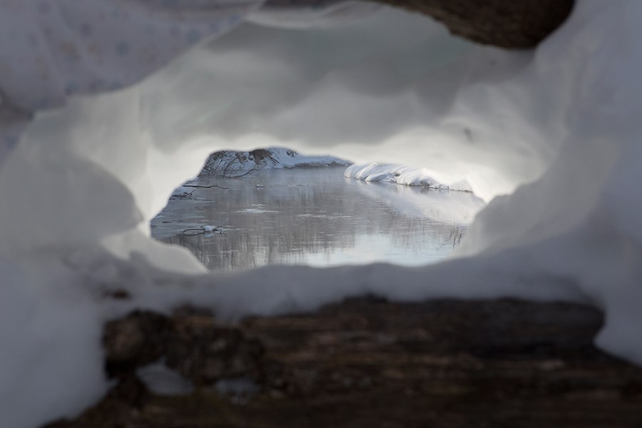 Лебединая Камчатка Лебединая Камчатка