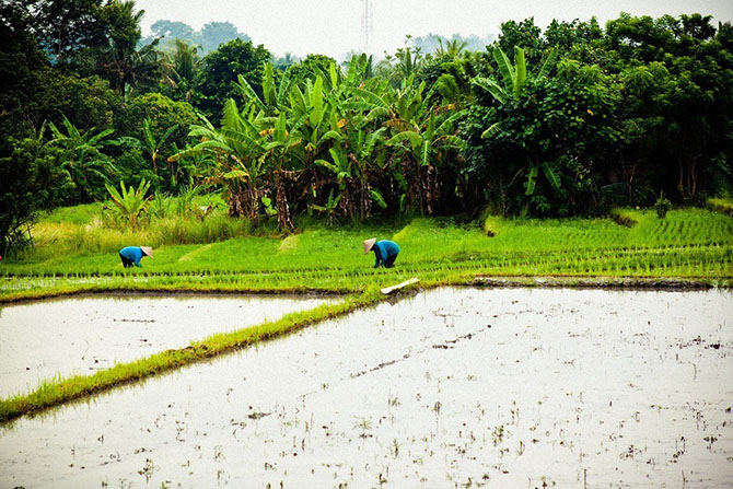 Что происходит на Земле за один день Что происходит на Земле за один день