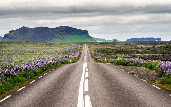 Что происходит на Земле за один день Что происходит на Земле за один день