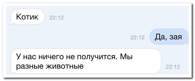 Смешные комментарии из социальных сетей