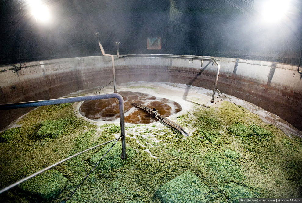 Экскурсия на чешский завод пива Budweiser Budvar Экскурсия на чешский завод пива Budweiser Budvar