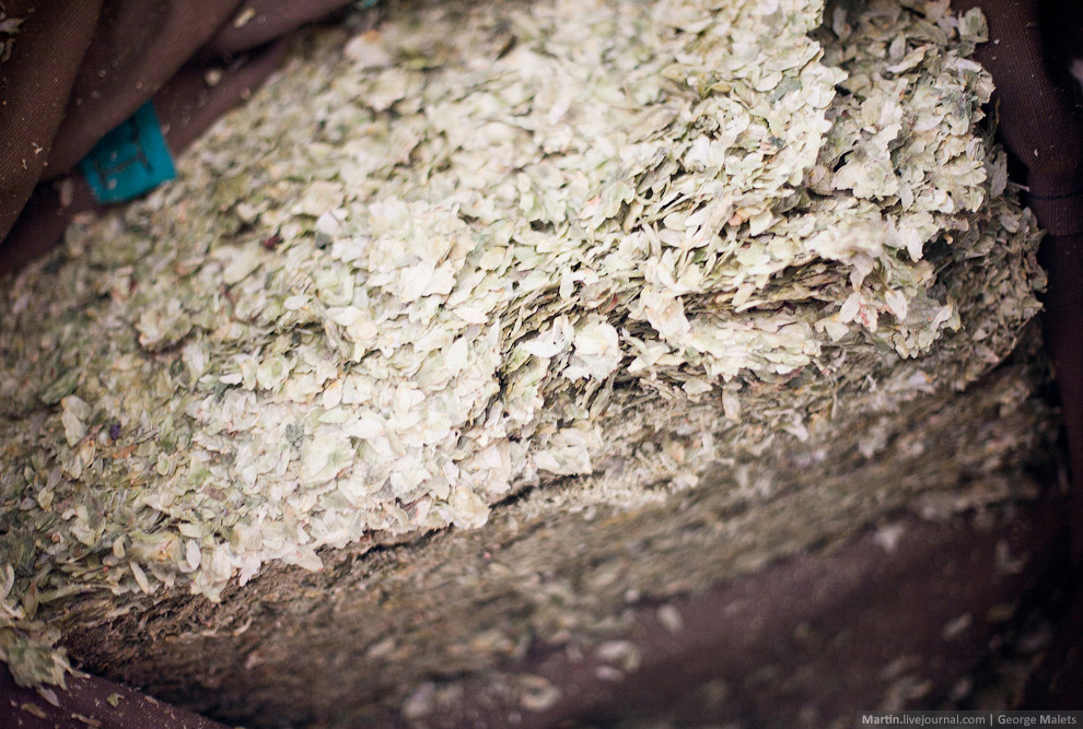 Экскурсия на чешский завод пива Budweiser Budvar Экскурсия на чешский завод пива Budweiser Budvar