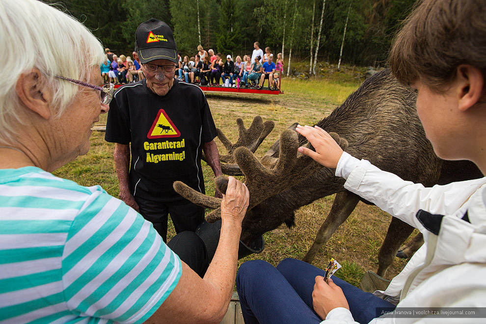 Лосиная ферма Лосиная ферма