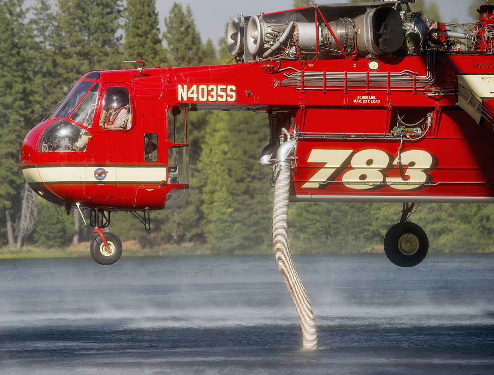 Королевский огонь Калифорнии