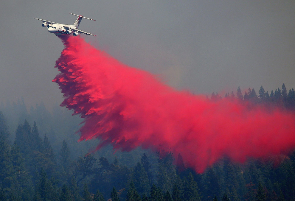 Королевский огонь Калифорнии