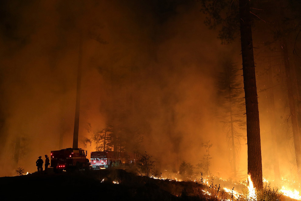 Королевский огонь Калифорнии