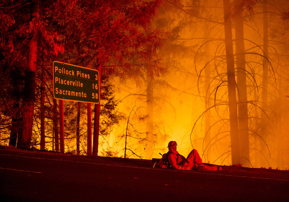 Королевский огонь Калифорнии