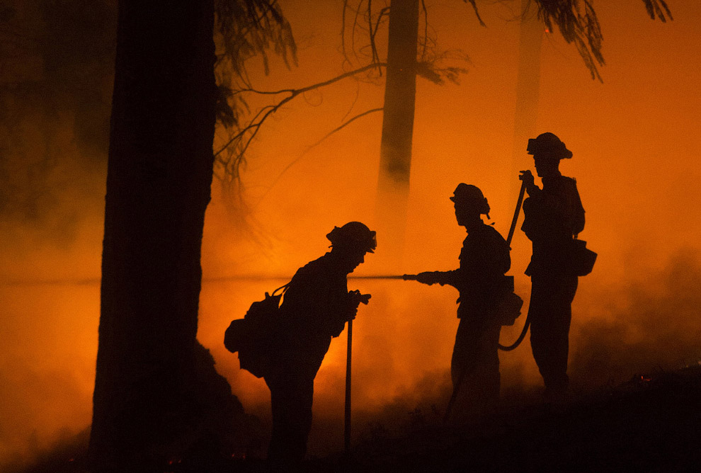 Королевский огонь Калифорнии