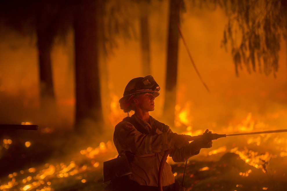 Королевский огонь Калифорнии