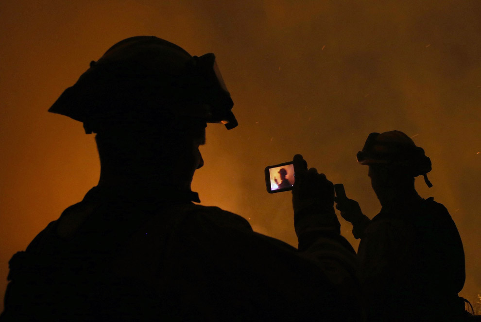 Королевский огонь Калифорнии