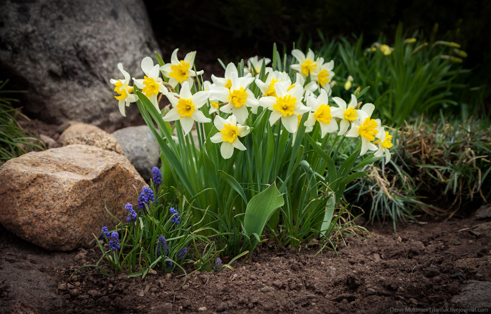 Город Солнца или секта Виссариона Город Солнца или секта Виссариона