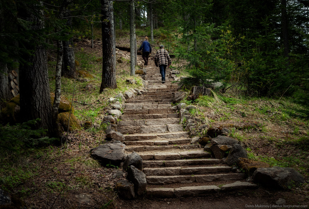 Город Солнца или секта Виссариона Город Солнца или секта Виссариона