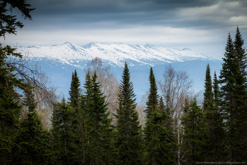 Город Солнца или секта Виссариона Город Солнца или секта Виссариона