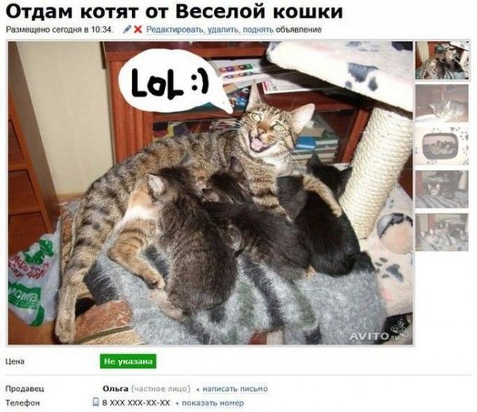 Прикольные объявления на Авито