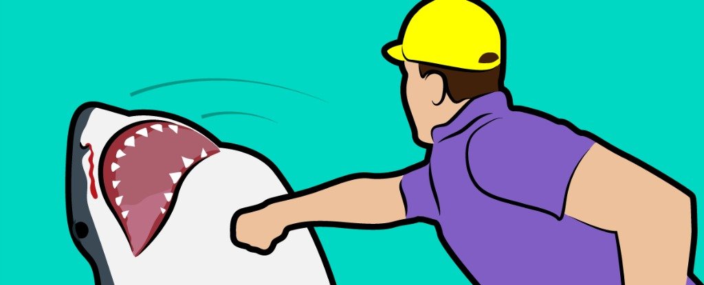 10 мифов о выживании, которые могут стоить нам жизни