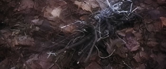 Удивительные факты о фильме «Ведьма из Блэр: Курсовая с того света» Удивительные факты о фильме «Ведьма из Блэр: Курсовая с того света»