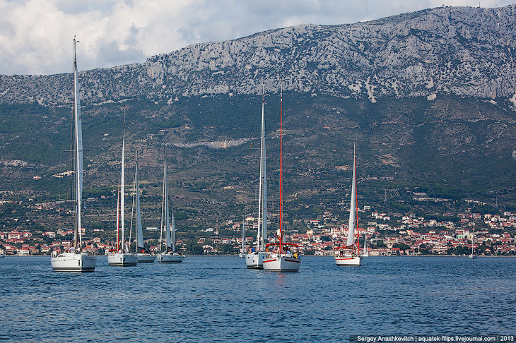 Регата «Кубок Чемпионов» Регата «Кубок Чемпионов»