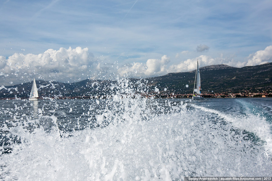 Регата «Кубок Чемпионов» Регата «Кубок Чемпионов»