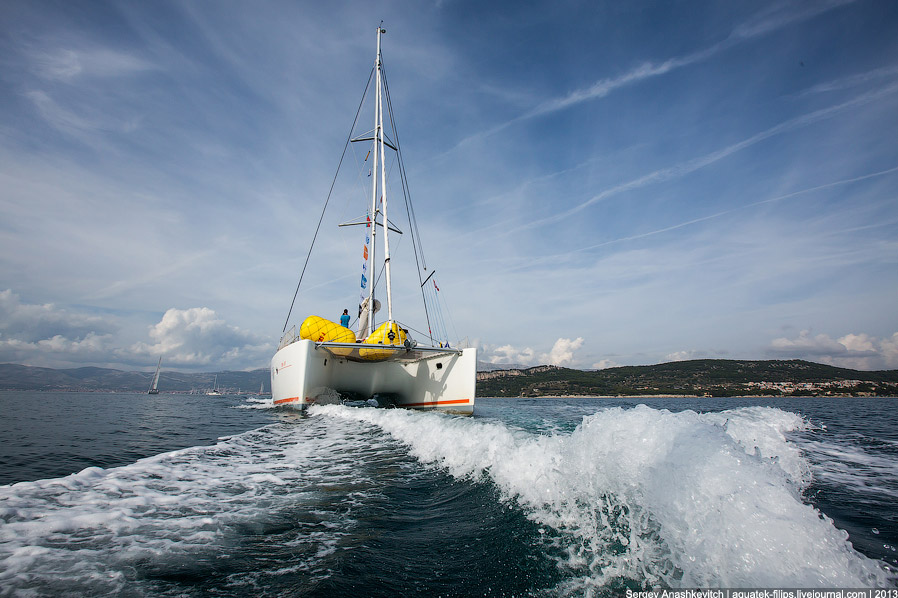 Регата «Кубок Чемпионов» Регата «Кубок Чемпионов»