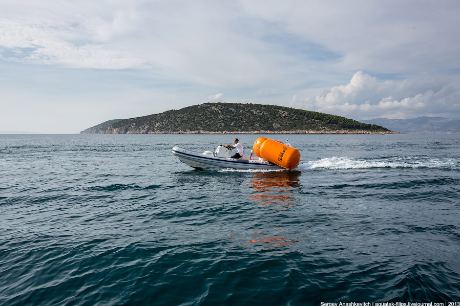 Регата «Кубок Чемпионов» Регата «Кубок Чемпионов»