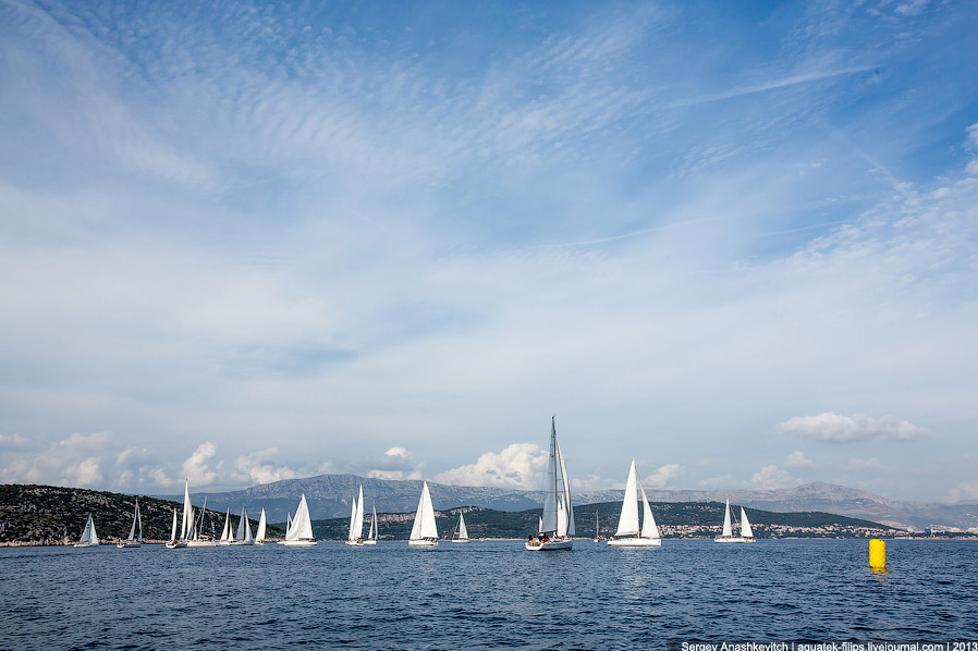 Регата «Кубок Чемпионов» Регата «Кубок Чемпионов»