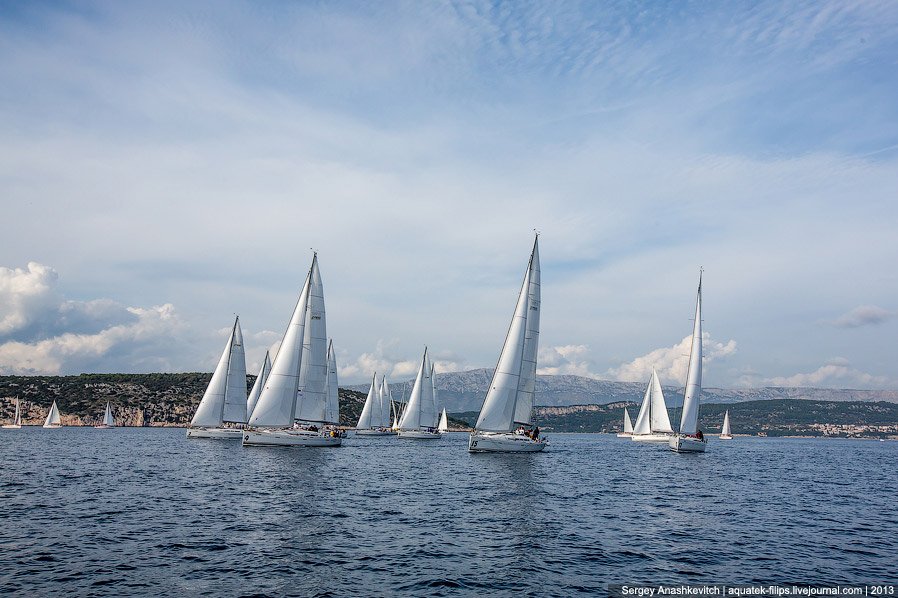 Регата «Кубок Чемпионов» Регата «Кубок Чемпионов»