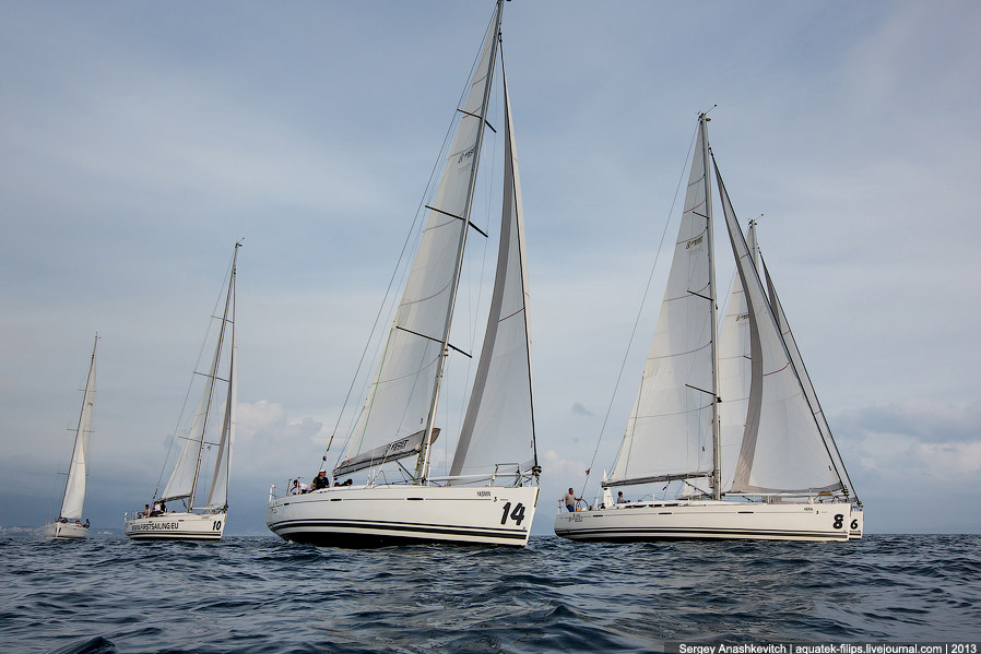 Регата «Кубок Чемпионов» Регата «Кубок Чемпионов»