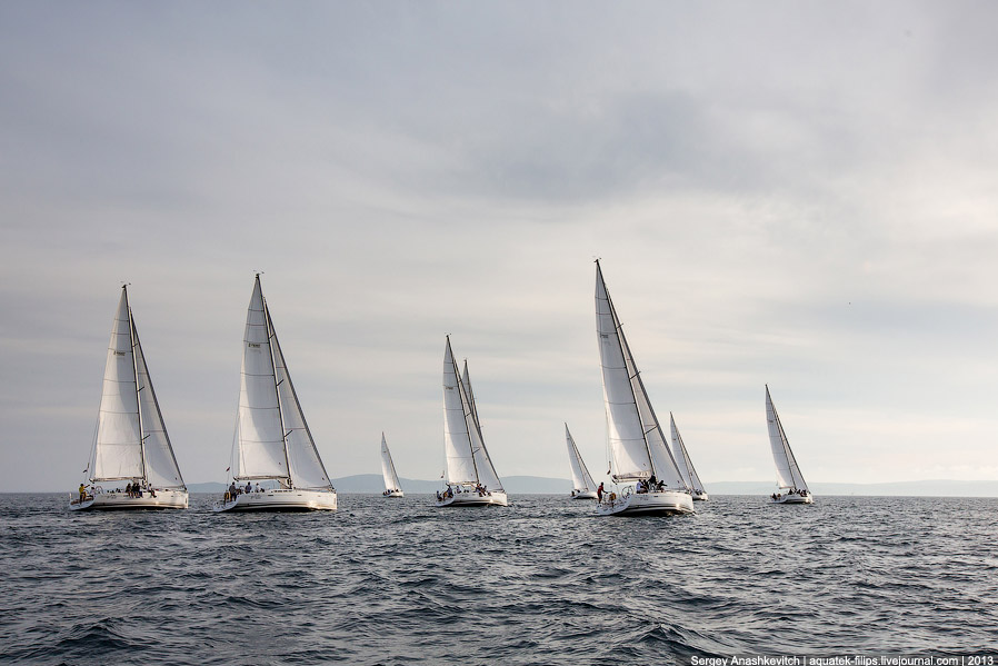 Регата «Кубок Чемпионов» Регата «Кубок Чемпионов»