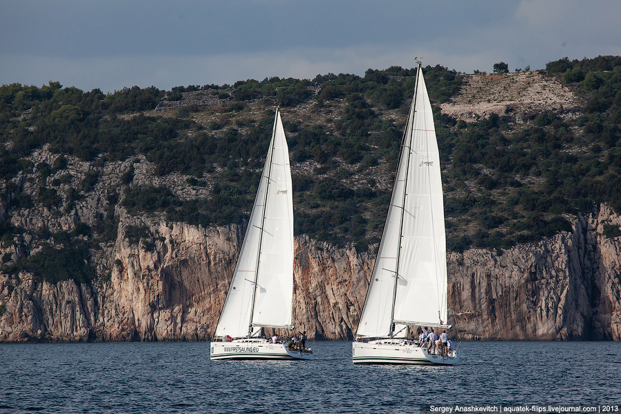 Регата «Кубок Чемпионов» Регата «Кубок Чемпионов»