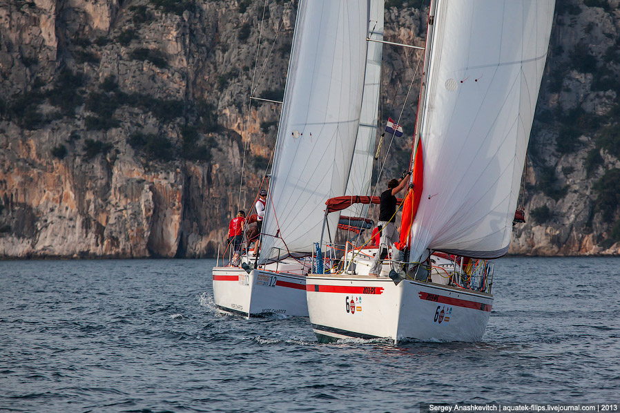 Регата «Кубок Чемпионов» Регата «Кубок Чемпионов»