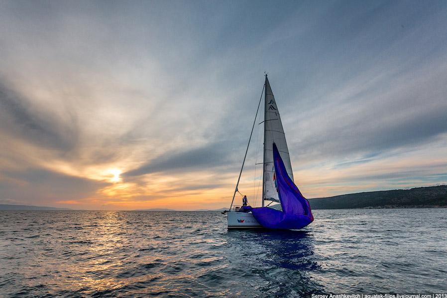 Регата «Кубок Чемпионов» Регата «Кубок Чемпионов»