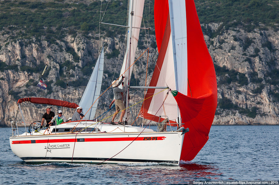 Регата «Кубок Чемпионов» Регата «Кубок Чемпионов»