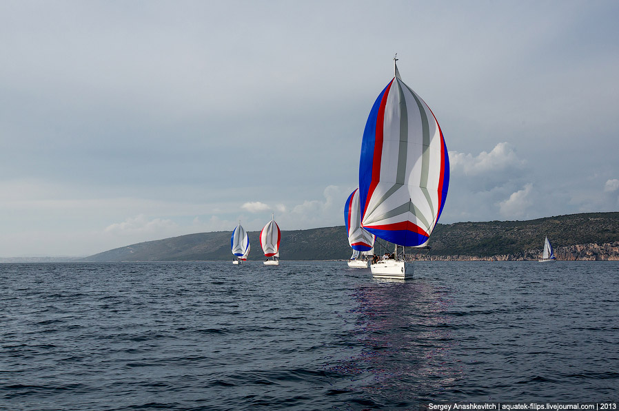 Регата «Кубок Чемпионов» Регата «Кубок Чемпионов»