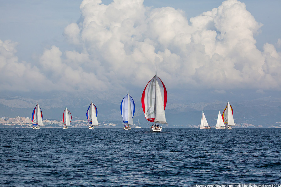 Регата «Кубок Чемпионов» Регата «Кубок Чемпионов»