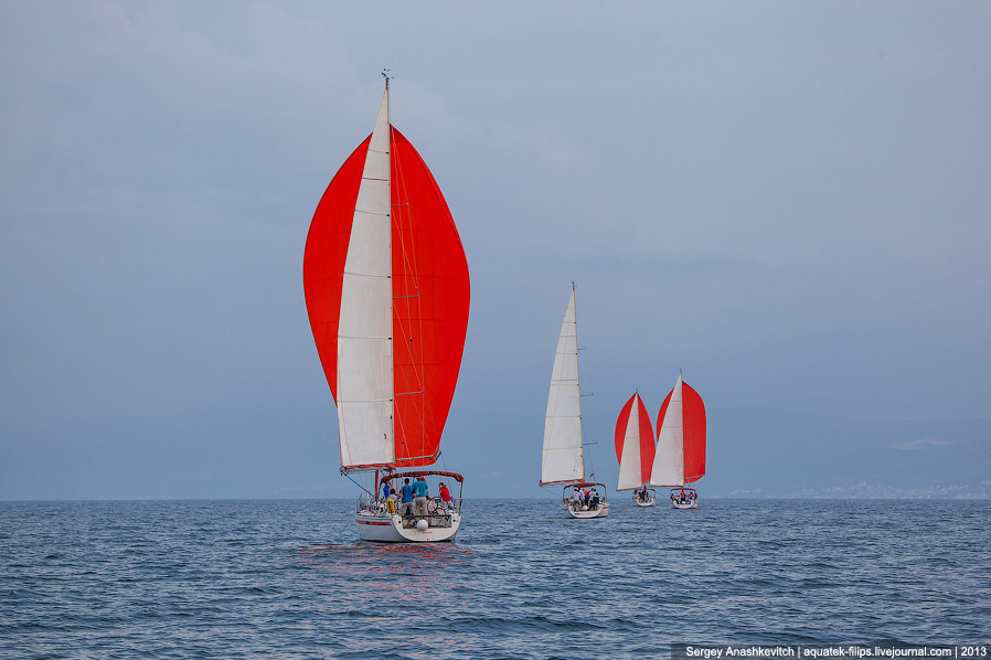 Регата «Кубок Чемпионов» Регата «Кубок Чемпионов»