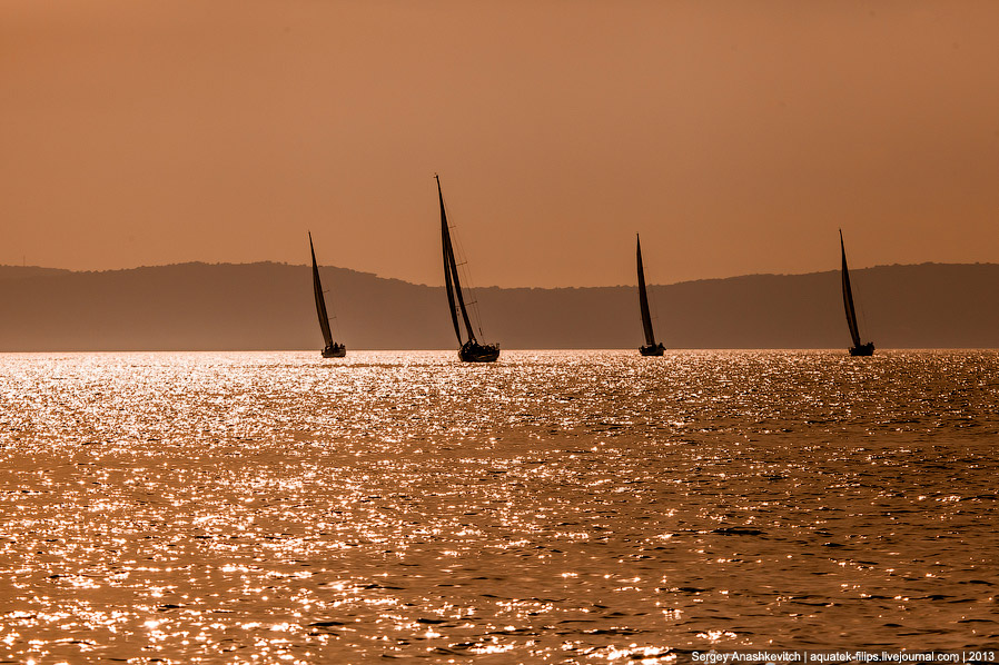 Регата «Кубок Чемпионов» Регата «Кубок Чемпионов»