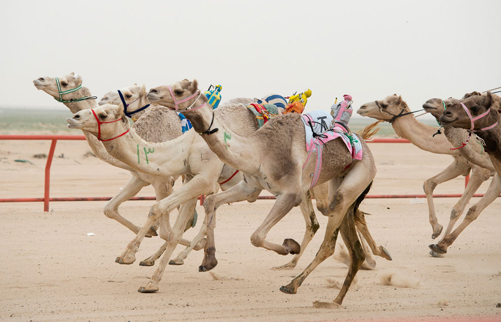 Роботы на работе Роботы на работе